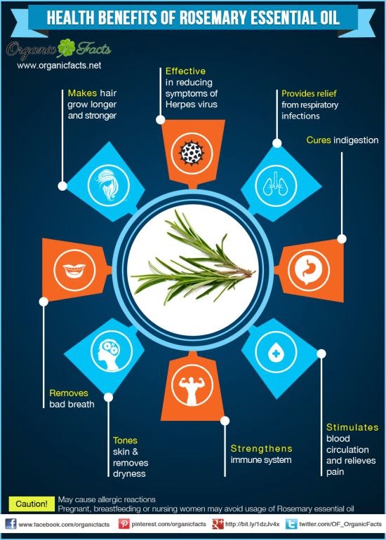 Health Benefits of Rosemary Oil 