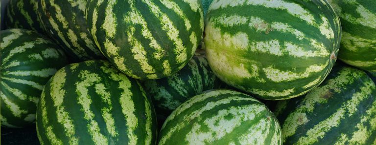 Summer Produce Guide: Watermelon - Organic.org